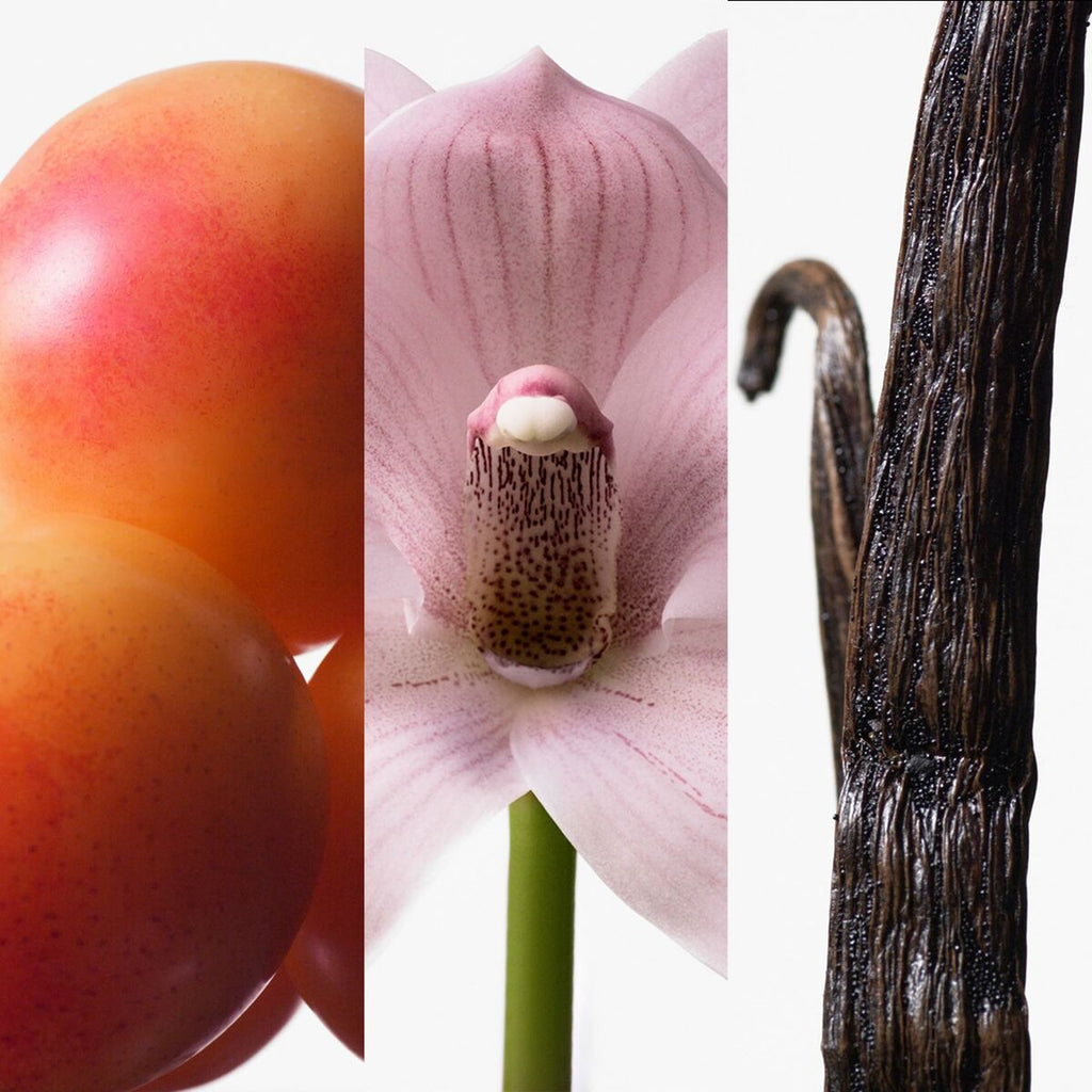 Women's Perfume Calvin Klein Euphoria 100 ml