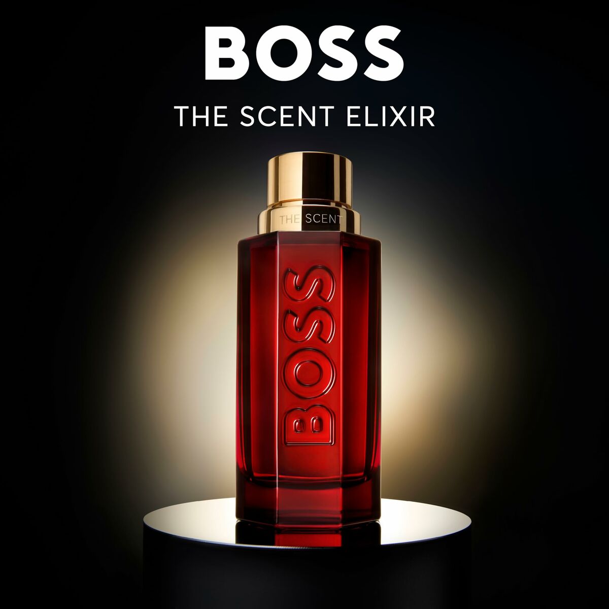 Men's Perfume Hugo Boss-boss THE SCENT 100 ml
